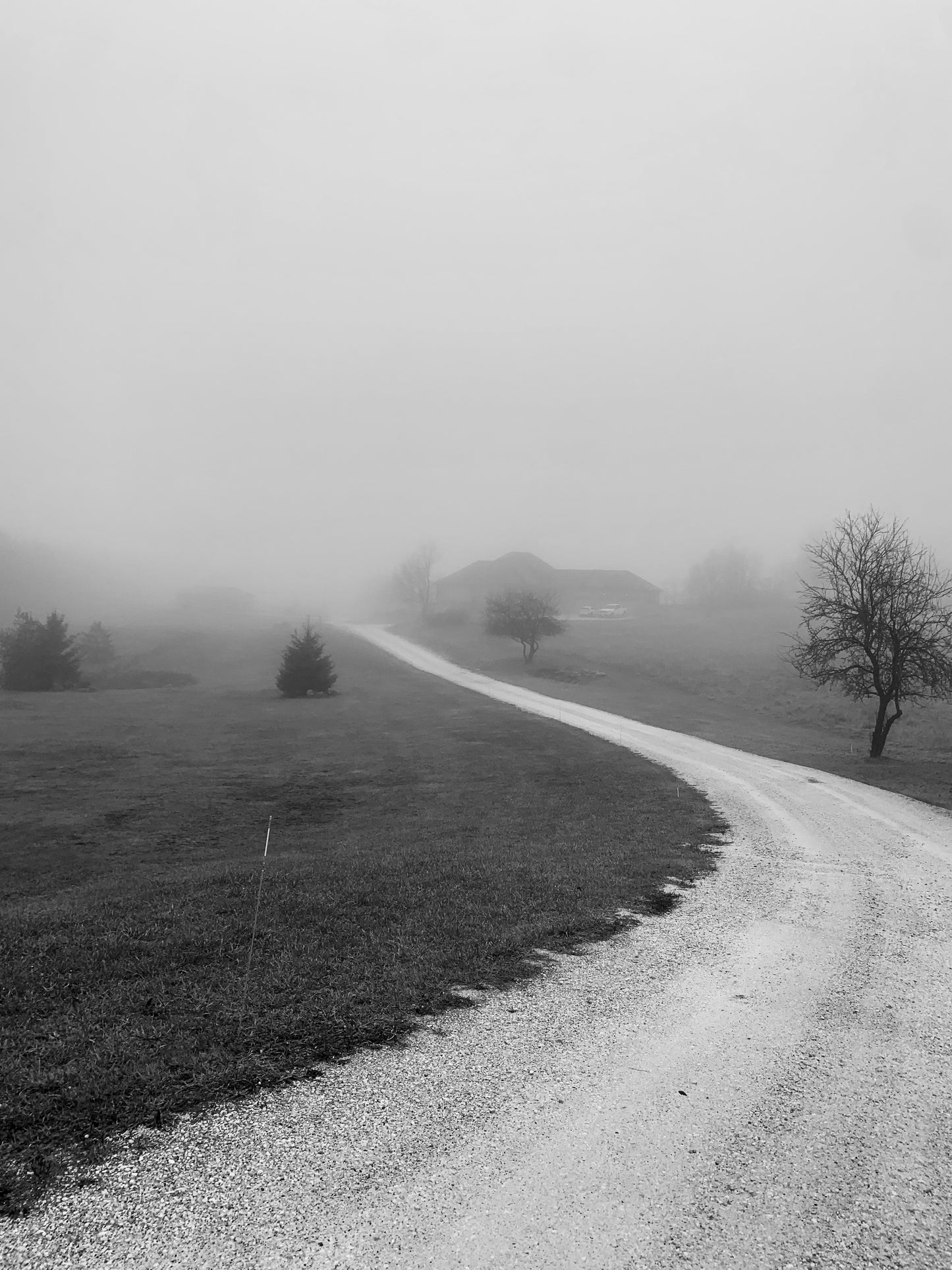 “Foggy Driveway” Photograph Print