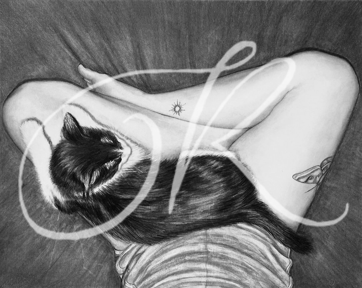 “Cat on Lap” Print