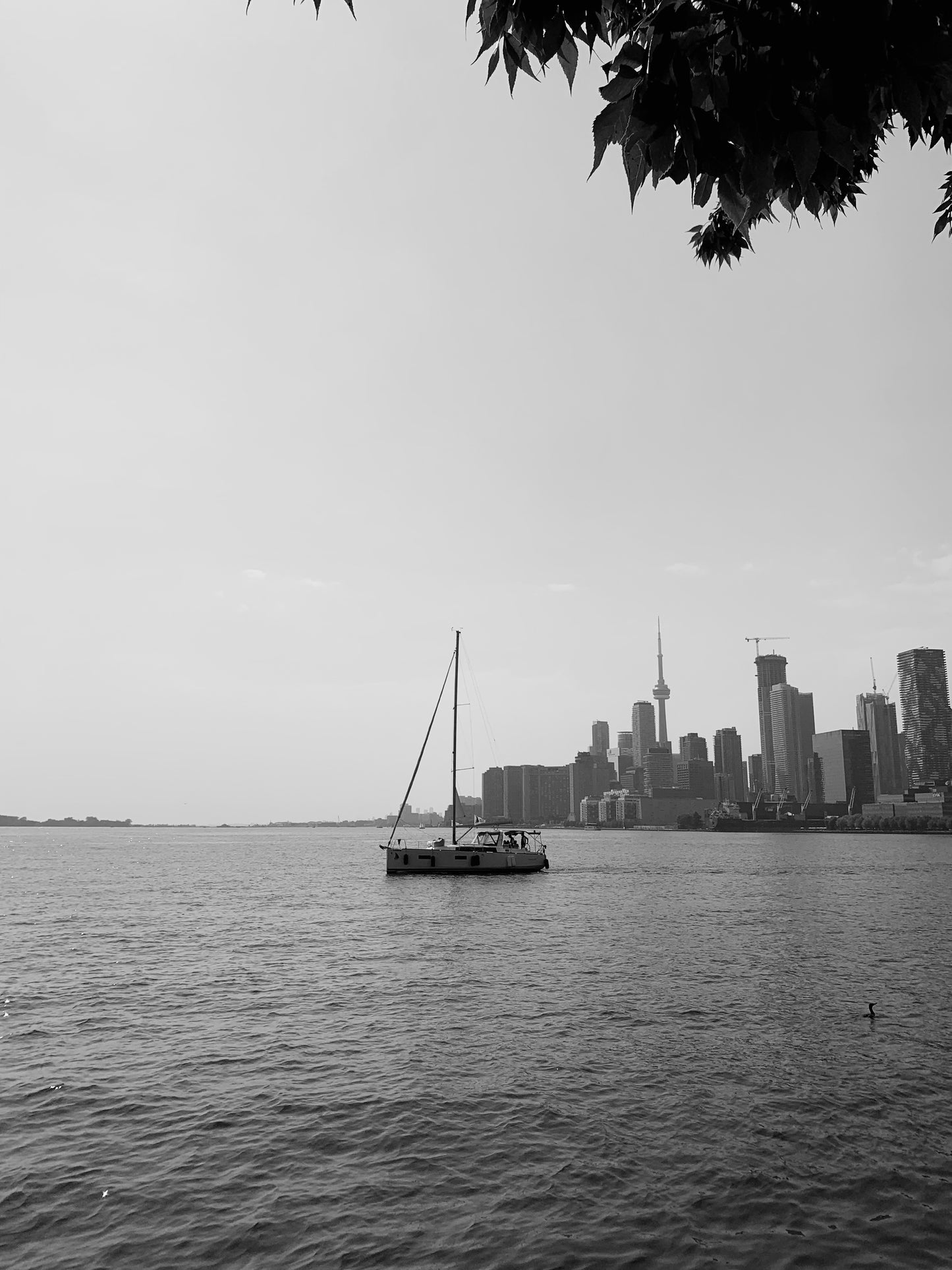 “Toronto Harbour” Photograph Print